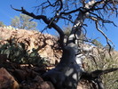 photo thumbnail #2