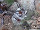 photo thumbnail #7