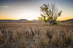 photo thumbnail #15