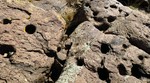 photo thumbnail #3