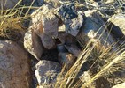 photo thumbnail #2