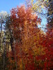 photo thumbnail #14