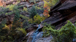 photo thumbnail #8