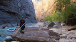photo thumbnail #12