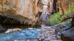 photo thumbnail #14