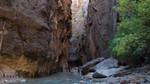 photo thumbnail #15