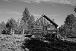 photo thumbnail #8