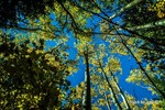 photo thumbnail #10