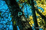 photo thumbnail #14