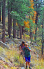 photo thumbnail #8