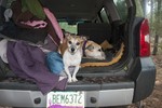 photo thumbnail #2