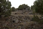 photo thumbnail #15