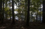photo thumbnail #6