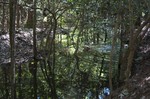 photo thumbnail #8
