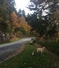 photo thumbnail #2