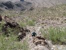 photo thumbnail #4