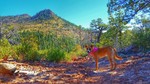 photo thumbnail #2
