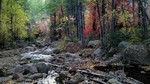 photo thumbnail #15