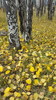 photo thumbnail #10