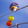 photo thumbnail #3