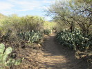 photo thumbnail #10