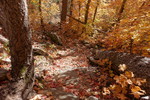 photo thumbnail #3