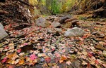 photo thumbnail #2