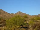 photo thumbnail #4