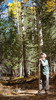 photo thumbnail #3
