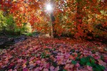 photo thumbnail #1