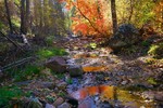 photo thumbnail #6