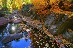 photo thumbnail #9