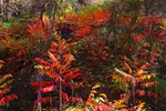 photo thumbnail #13