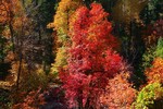 photo thumbnail #14