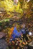 photo thumbnail #15