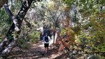 photo thumbnail #2