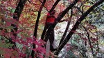 photo thumbnail #5