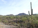 photo thumbnail #2