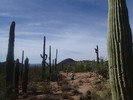 photo thumbnail #11