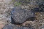 photo thumbnail #14