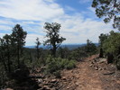 photo thumbnail #6