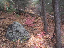 photo thumbnail #7