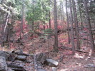 photo thumbnail #9