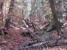 photo thumbnail #10