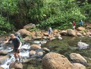 photo thumbnail #5