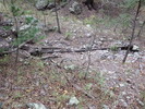 photo thumbnail #9
