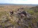 photo thumbnail #6