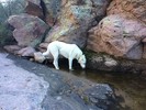 photo thumbnail #1