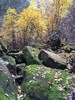 photo thumbnail #7