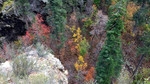 photo thumbnail #14